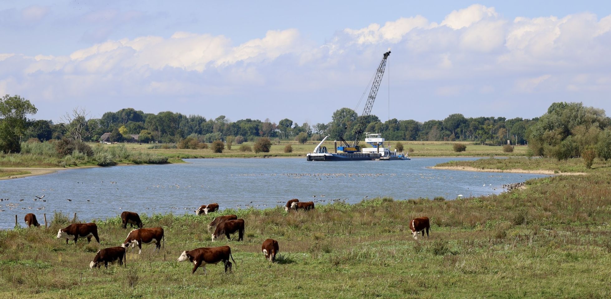 baggeren nevengeul IJssel